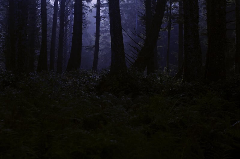 Shadowy Rumors